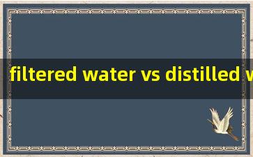  filtered water vs distilled water